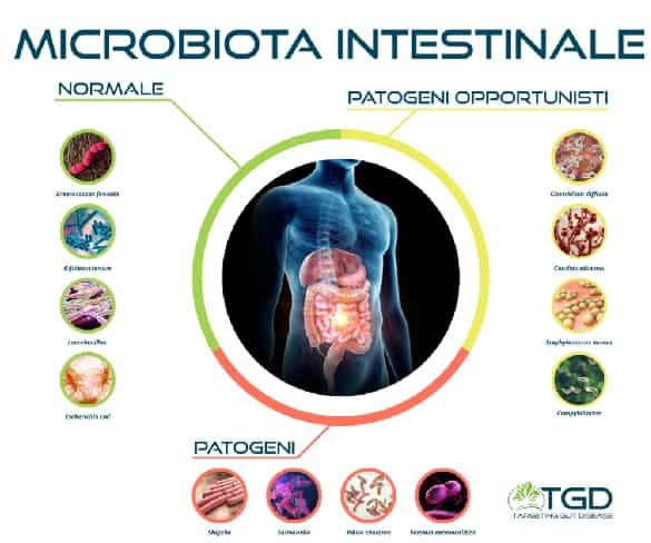 Microbiota intestinale
